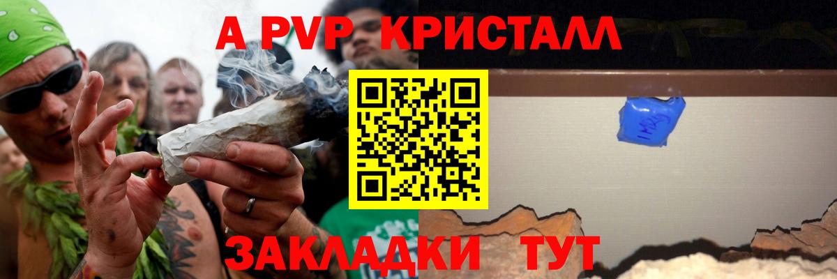 A PVP СК КРИС Губаха