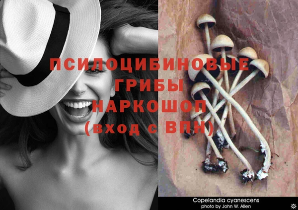 синтетический гашиш Янаул