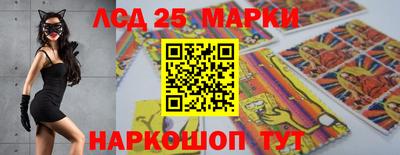 меф Гатчина