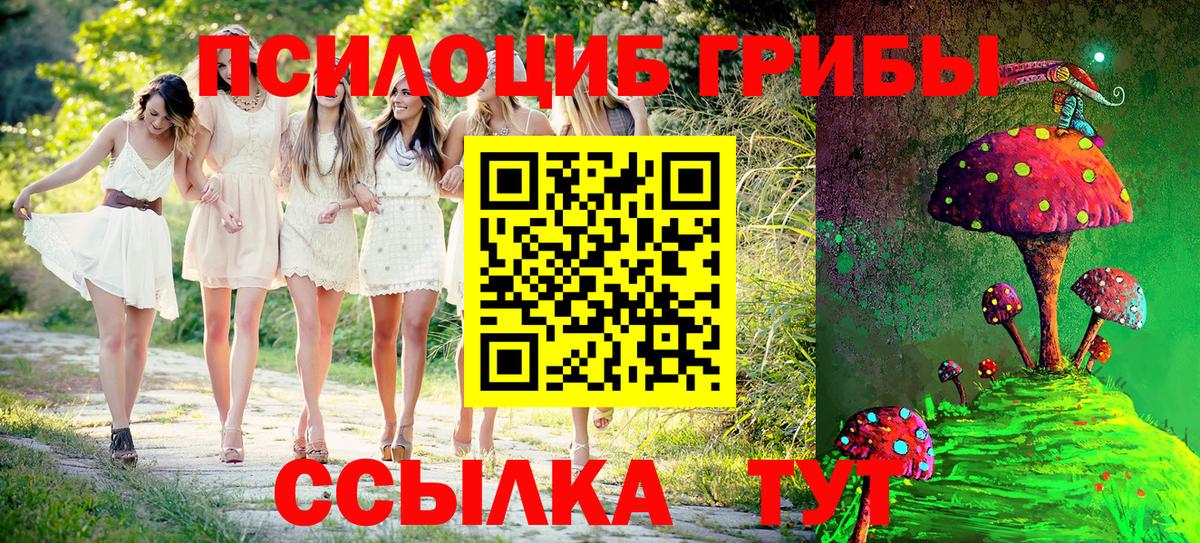 Галлюциногенные грибы Psilocybe  Вход с VPN  Галлюциногенные грибы MAGIC MUSHROOMS  Губаха 